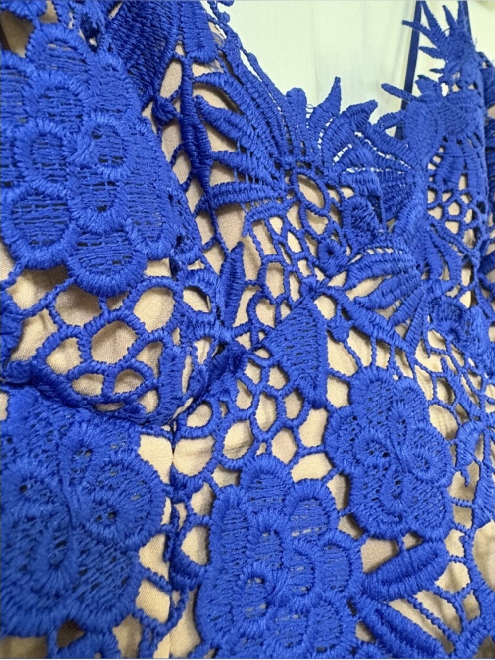 Bardot Royal Blue Lace Floral Midi Dress - Picture 7 of 13